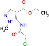 Ethyl 5-(2-chloroacetamido)-1-methyl-1h-pyrazole-4-carboxylate
