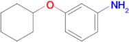 3-(Cyclohexyloxy)aniline