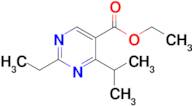 Ethyl 2-ethyl-4-(propan-2-yl)pyrimidine-5-carboxylate