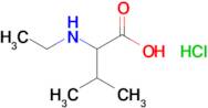 2-(Ethylamino)-3-methylbutanoic acid hydrochloride