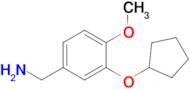 [3-(cyclopentyloxy)-4-methoxyphenyl]methanamine