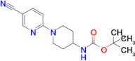 Tert-butyl n-[1-(5-cyanopyridin-2-yl)piperidin-4-yl]carbamate