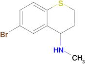 6-Bromo-N-methyl-3,4-dihydro-2h-1-benzothiopyran-4-amine