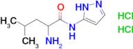 2-amino-4-methyl-N-(1H-pyrazol-5-yl)pentanamide dihydrochloride