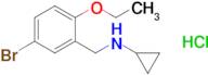 n-[(5-bromo-2-ethoxyphenyl)methyl]cyclopropanamine hydrochloride