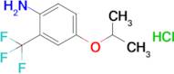 4-(Propan-2-yloxy)-2-(trifluoromethyl)aniline hydrochloride