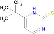 6-tert-butyl-1,2-dihydropyrimidine-2-thione