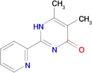 5,6-dimethyl-2-(pyridin-2-yl)-1,4-dihydropyrimidin-4-one