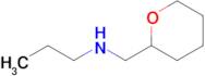 (Oxan-2-ylmethyl)(propyl)amine