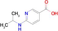 6-[(propan-2-yl)amino]pyridine-3-carboxylic acid