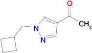 1-[1-(cyclobutylmethyl)-1h-pyrazol-4-yl]ethan-1-one