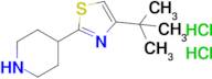 4-(4-Tert-butyl-1,3-thiazol-2-yl)piperidine dihydrochloride