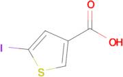 5-Iodothiophene-3-carboxylic acid