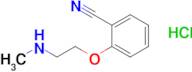 2-[2-(methylamino)ethoxy]benzonitrile hydrochloride