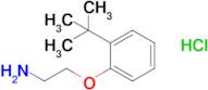 1-(2-Aminoethoxy)-2-tert-butylbenzene hydrochloride