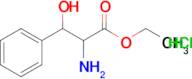 Ethyl 2-amino-3-hydroxy-3-phenylpropanoate hydrochloride