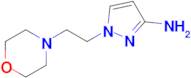 1-[2-(morpholin-4-yl)ethyl]-1h-pyrazol-3-amine