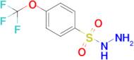 4-(Trifluoromethoxy)benzene-1-sulfonohydrazide