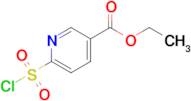 Ethyl 6-(chlorosulfonyl)pyridine-3-carboxylate