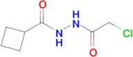 n'-(2-Chloroacetyl)cyclobutanecarbohydrazide