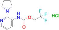 2,2,2-Trifluoroethyl n-[2-(pyrrolidin-1-yl)pyridin-3-yl]carbamate hydrochloride