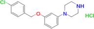 1-{3-[(4-chlorophenyl)methoxy]phenyl}piperazine hydrochloride