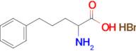 2-Amino-5-phenylpentanoic acid hydrobromide