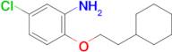 5-Chloro-2-(2-cyclohexylethoxy)aniline