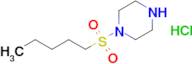 1-(Pentane-1-sulfonyl)piperazine hydrochloride