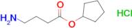 Cyclopentyl 4-aminobutanoate hydrochloride