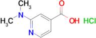 2-(Dimethylamino)pyridine-4-carboxylic acid hydrochloride