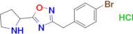 3-[(4-bromophenyl)methyl]-5-(pyrrolidin-2-yl)-1,2,4-oxadiazole hydrochloride