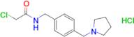 2-Chloro-N-{[4-(pyrrolidin-1-ylmethyl)phenyl]methyl}acetamide hydrochloride