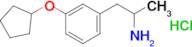 1-[3-(cyclopentyloxy)phenyl]propan-2-amine hydrochloride