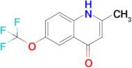 2-methyl-6-(trifluoromethoxy)-1,4-dihydroquinolin-4-one