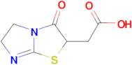 2-{3-oxo-2h,3h,5h,6h-imidazo[2,1-b][1,3]thiazol-2-yl}acetic acid