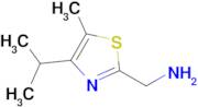 [5-methyl-4-(propan-2-yl)-1,3-thiazol-2-yl]methanamine