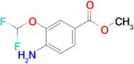 Methyl 4-amino-3-(difluoromethoxy)benzoate