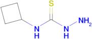 3-Amino-1-cyclobutylthiourea