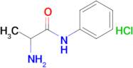 2-Amino-N-phenylpropanamide hydrochloride