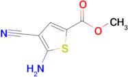 Methyl 5-amino-4-cyanothiophene-2-carboxylate