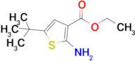 Ethyl 2-amino-5-tert-butylthiophene-3-carboxylate