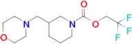 2,2,2-Trifluoroethyl 3-(morpholin-4-ylmethyl)piperidine-1-carboxylate