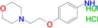 4-[2-(morpholin-4-yl)ethoxy]aniline dihydrochloride