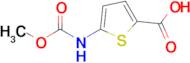 5-[(methoxycarbonyl)amino]thiophene-2-carboxylic acid