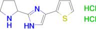 2-(Pyrrolidin-2-yl)-4-(thiophen-2-yl)-1h-imidazole dihydrochloride