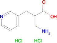 3-Amino-2-(pyridin-3-ylmethyl)propanoic acid dihydrochloride