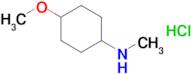 4-Methoxy-N-methylcyclohexan-1-amine hydrochloride