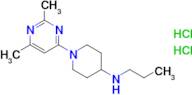 1-(2,6-Dimethylpyrimidin-4-yl)-N-propylpiperidin-4-amine dihydrochloride