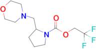 2,2,2-Trifluoroethyl 2-(morpholin-4-ylmethyl)pyrrolidine-1-carboxylate